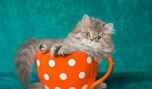 Alex水瓶座2018年9月运势