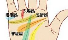智慧线看你是什么样的人