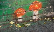 小乖麻根登卓玛2013年2月天蝎座运势