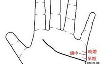 手相看你是否适合晚婚