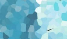 处女姚明运势大预测[图]