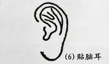 贴脑耳面相详解