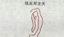 低反耳面相详解