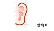 垂肩耳面相详解