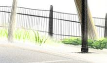 哪个生肖本命年容易劈腿？