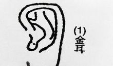 金耳面相详解