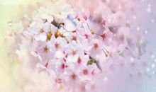 摩羯座今日运势2013年01月29日