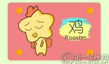 属鸡女最满意自己长多高