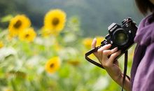 裴恩2017年6月十二星座运势