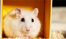 Eskey天蝎座一周运势（7.9-7.15）