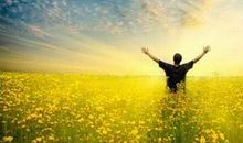 盘点努力奋斗赚大钱的生肖