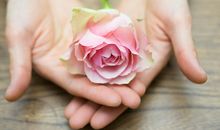 羊年本名年适合结婚生子吗