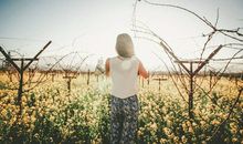 如萱占卜2018年9月狮子座运势