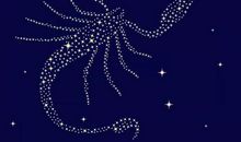 火象星座的开运颜色