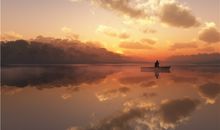 属猪人的事业发展