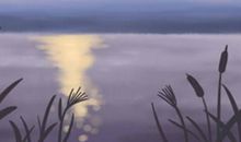 12星座羊年应该如何转运