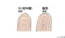 手相中有几个斗最好