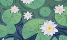 吃什么东西刮油最快 6种助你减肥成功