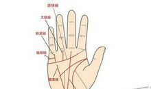 两条生命线有什么含义