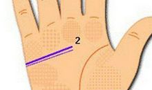 从手相看你婚姻