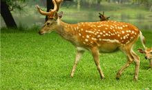 YAO叔今日运势2018年7月6日