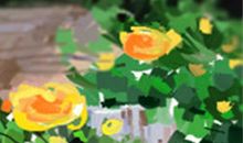 本命年为什么要穿红色？