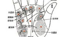 从手相看人的品德如何