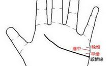 手相看你是晚婚族吗