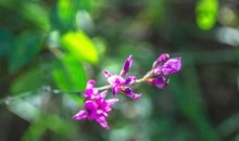 天蝎座今日运势2016年9月1日