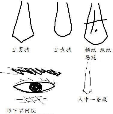 从人的角度来看，你是男孩还是女孩