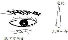 从人中看你是生男生女