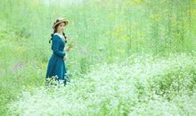 Alex金牛座一周运势（8.27-9.2）