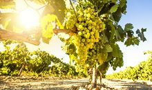 十二星座五月的爱情密码