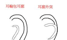 面相看你的职场生存方式