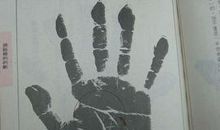 男人假断掌手相图解