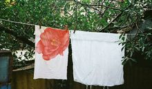 寂多蔓生2017年9月天秤座运势