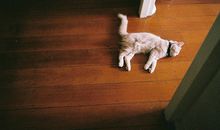 寂多蔓生2017年9月巨蟹座运势