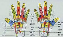 五指快速诊断健康法
