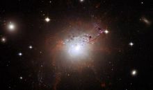 猫石对话每日运势2017年1月26日