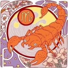 Scorpio Today's Horoscope 2017年8月12日