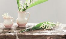 开运：春分时节如何养生