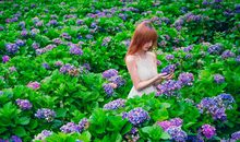 Geo老师金牛座一周运势（8.26-9.1）