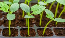 从天纹线看你的爱情