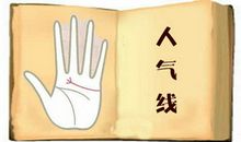 人气线反映深爱众人喜爱