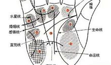 从手相看你的富贵程度