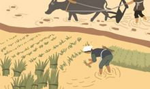 经常吃什么防癌 推荐5款零食