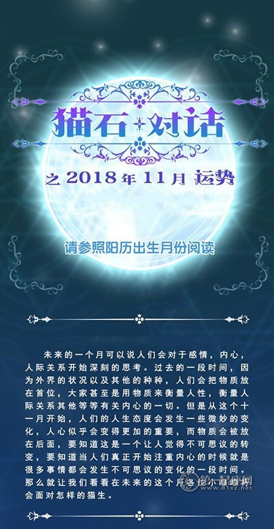 猫石对话11月星座运势