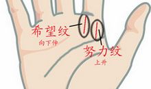 努力线反映这是一个实干家