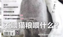 猫石对话每日运势2017年7月29日