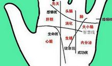 从掌纹中看隐藏的病症